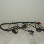 Skyjet 125 wiring loom